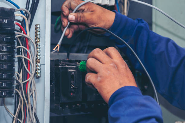 Best Residential Electrician Services  in South Apopka, FL