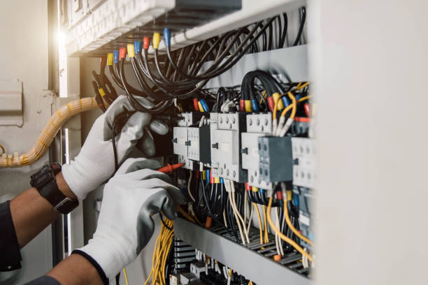 Best Electric Panel Repair  in South Apopka, FL